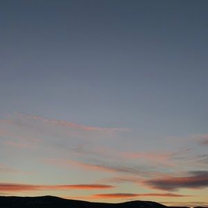 Meet your Posher, Luna